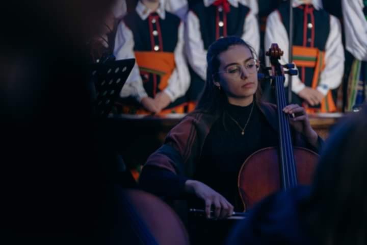 Maja Fal